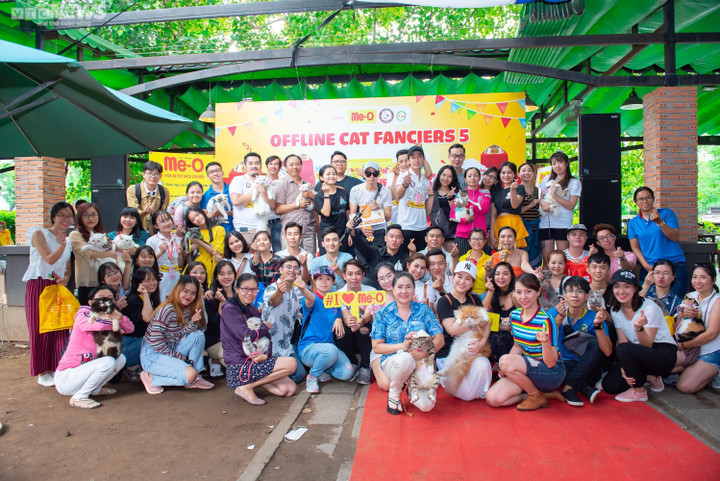 Chàng trai 'dựng nhà trẻ, làm bà đỡ' cho mèo hoang - 4