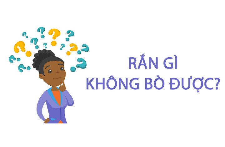Rắn gì không bò được? - 1