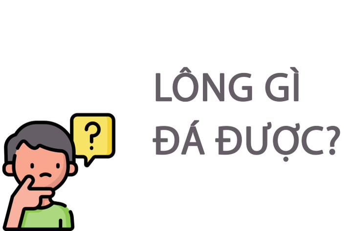 Lông gì đá được? - 1