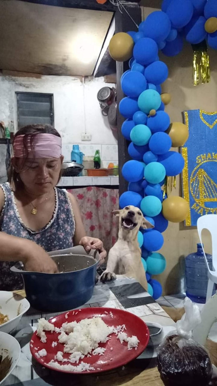 Khoảnh khắc đáng yêu hết phần thiên hạ của chó cưng, buồn mấy nhìn vào cũng tan - 7