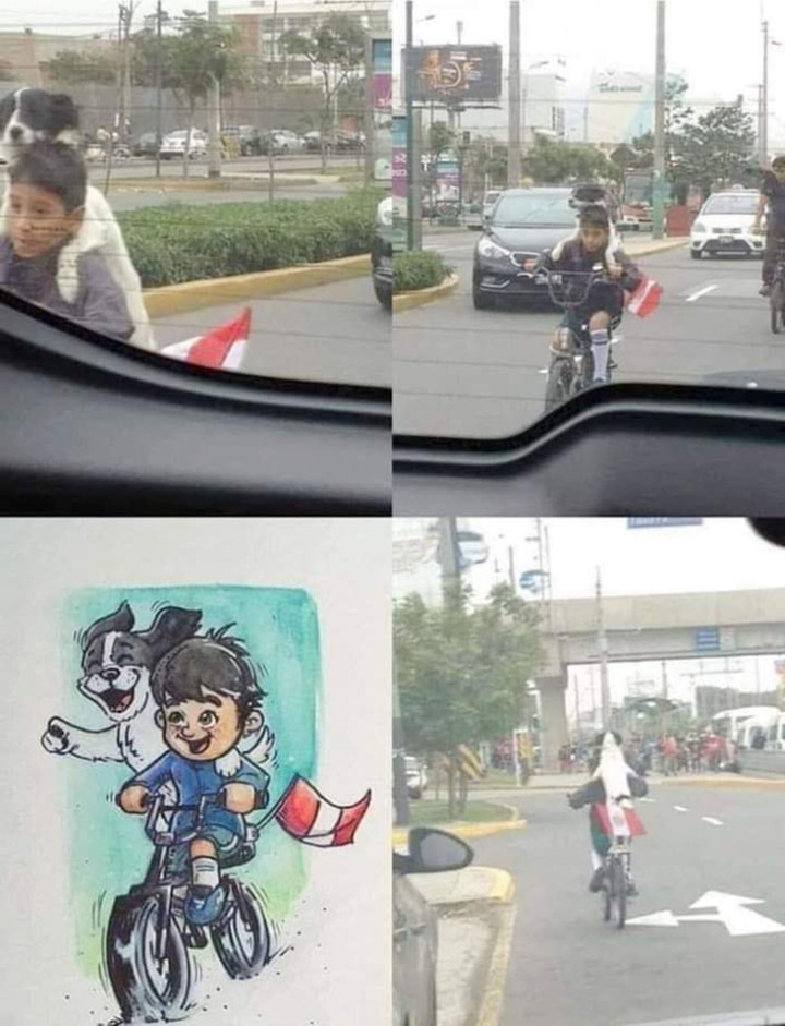 Khoảnh khắc đáng yêu hết phần thiên hạ của chó cưng, buồn mấy nhìn vào cũng tan - 11