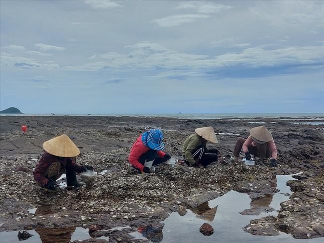 Nghề 'mổ' hàu trên vịnh Hòn La - 3