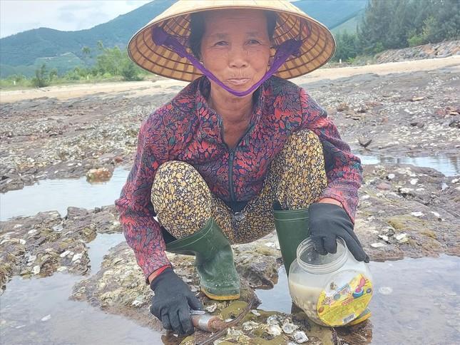 Nghề 'mổ' hàu trên vịnh Hòn La - 2