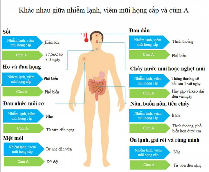 Cúm A và viêm mũi họng cấp - phân biệt thế nào? - 1