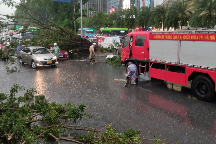 Mưa giông ầm ầm, cây đổ đè 2 ô tô đang di chuyển trên phố ở Hà Nội - 1