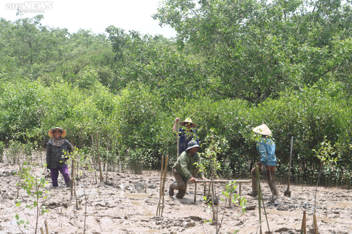 Đoàn công tác UNDP kiểm tra các dự án tài trợ tại Thanh Hóa - 3