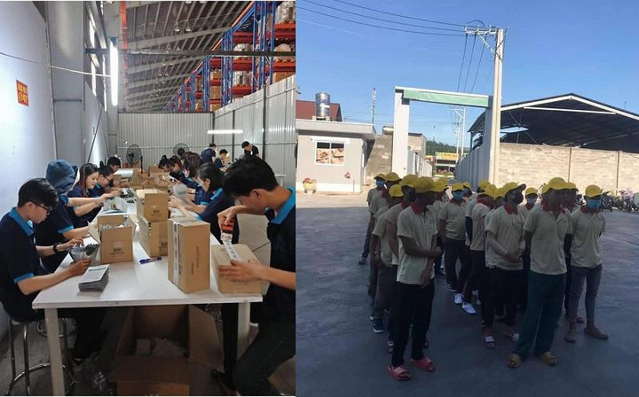 Kiến Vàng 247 - Công ty cung ứng lao động uy tín tại TP.HCM - 2