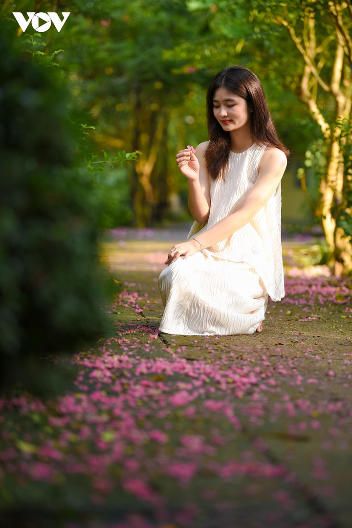 Ảnh: Con đường hoa tường vi đẹp như tranh ở Hà Nội - 12