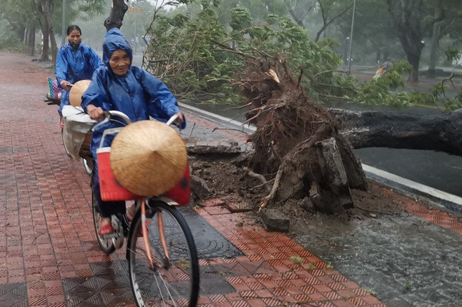 Biển Đông có thể đón bão, áp thấp nhiệt đới vào tuần tới - 1