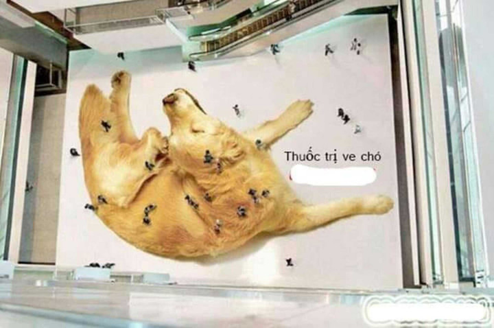 Những màn quảng cáo nhằm bán sản phẩm thì ít mà trêu khách hàng là nhiều - 8