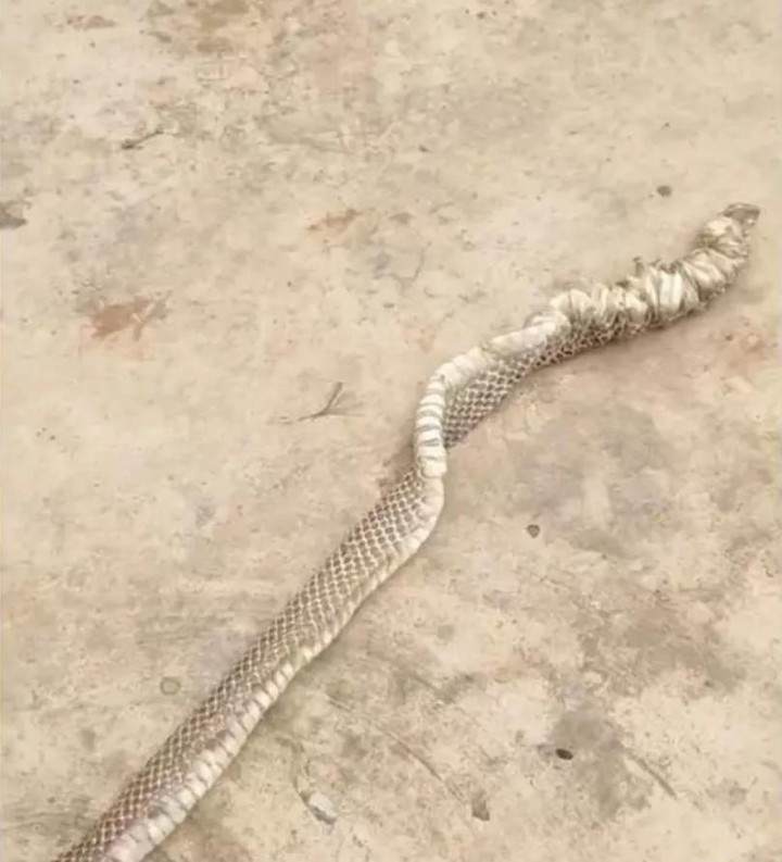 Loạt trò nghịch hú hồn của trẻ con làm bố mẹ '3 phần đau đớn, 7 phần gục ngã' - 10