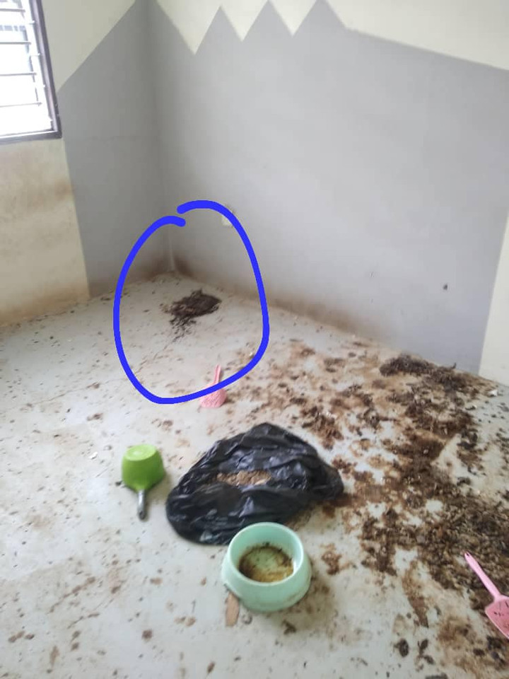 Luôn bị khách thuê ngăn đến thăm nhà, chủ trọ sốc khi phát hiện sự thật ở trong - 4