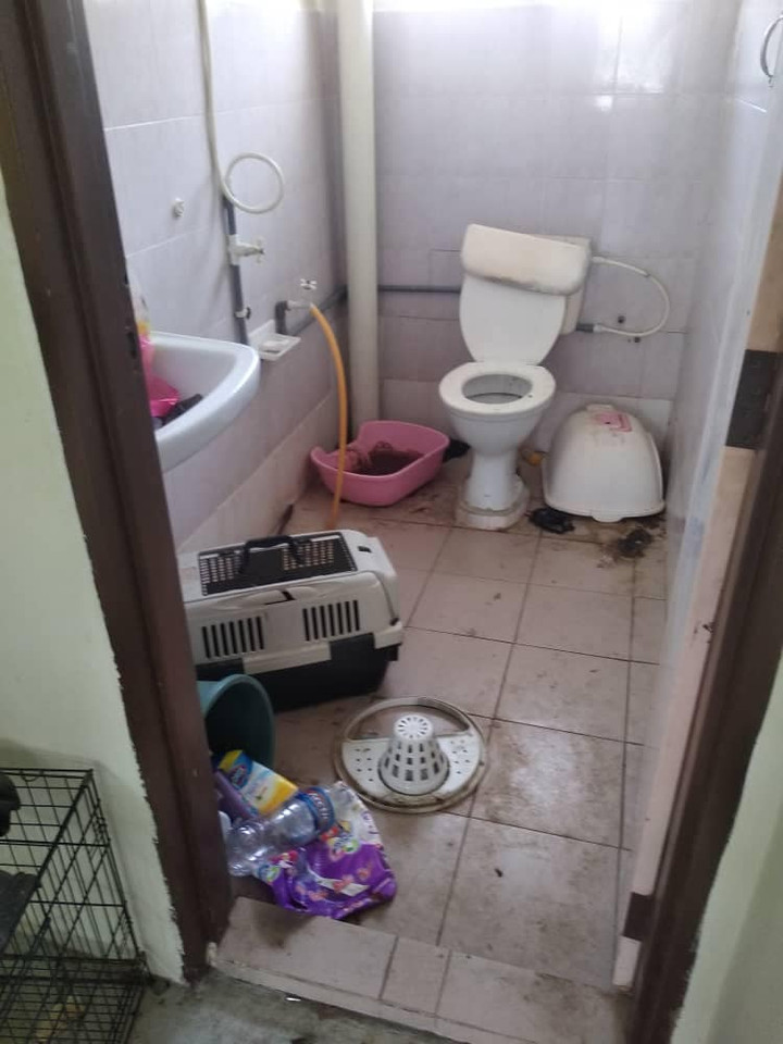 Luôn bị khách thuê ngăn đến thăm nhà, chủ trọ sốc khi phát hiện sự thật ở trong - 3