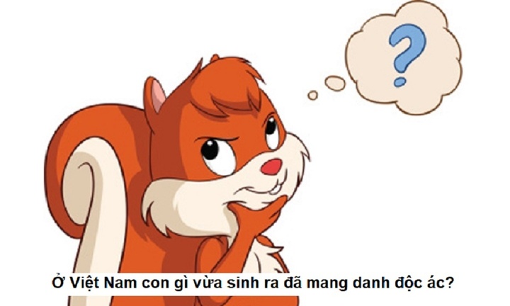 Con Gì Sinh Ra Đã Mang Tiếng Độc Ác? Khám Phá Những Câu Đố Thú Vị Về Động Vật