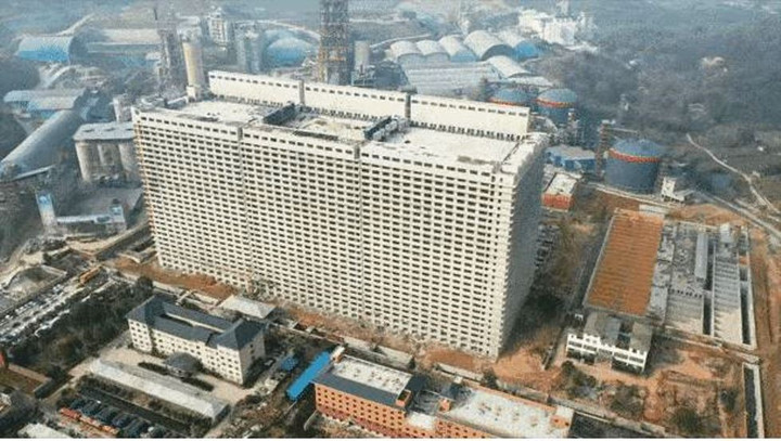 Xây cao ốc 26 tầng để… nuôi lợn - 1