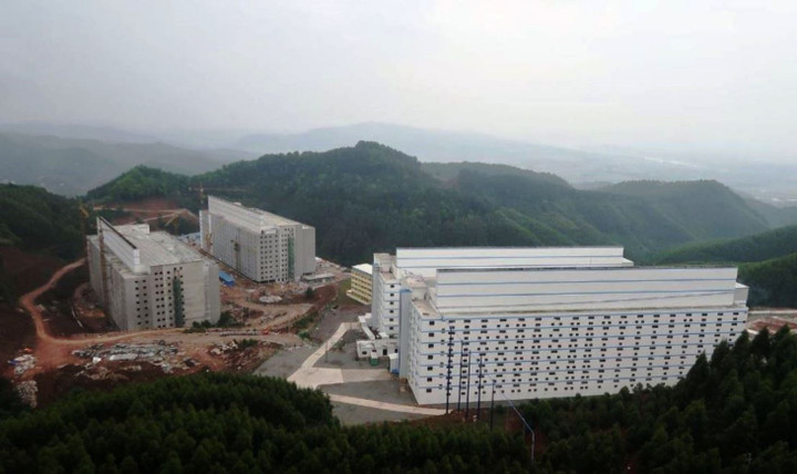 Xây cao ốc 26 tầng để… nuôi lợn - 2