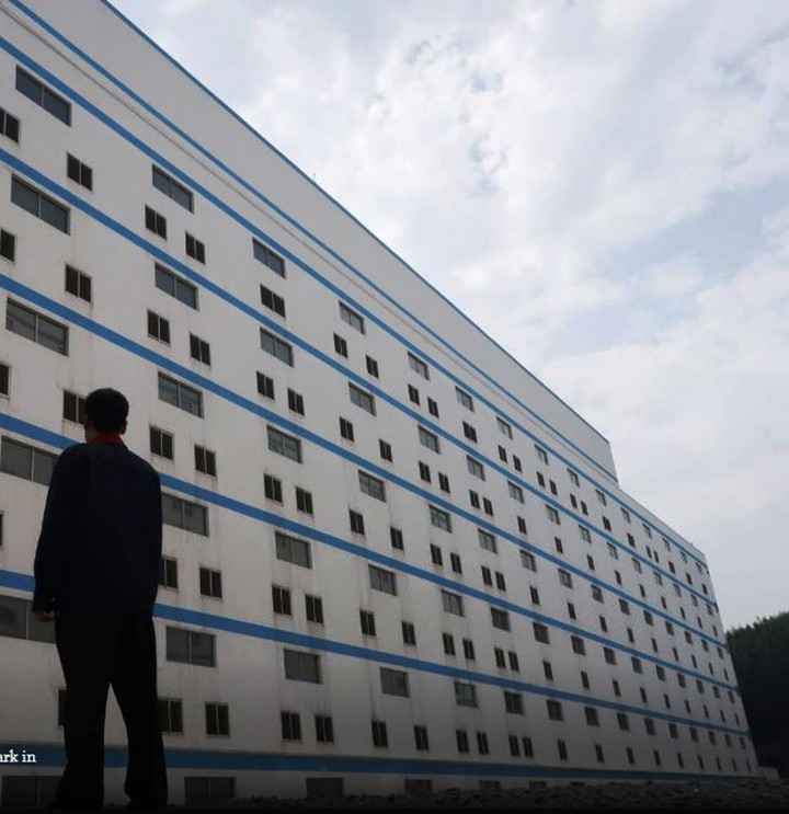  Xây cao ốc 26 tầng để… nuôi lợn - 3