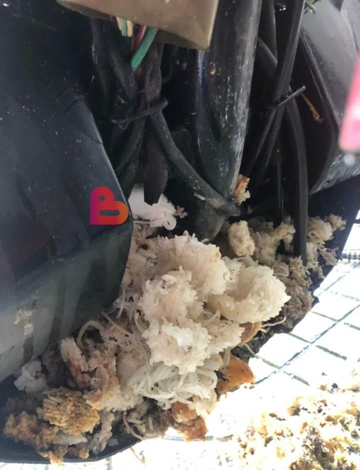 Xe đóng bụi lâu ngày, đem đi rửa mới tá hỏa phát hiện điều bất ngờ nặng 2kg - 2