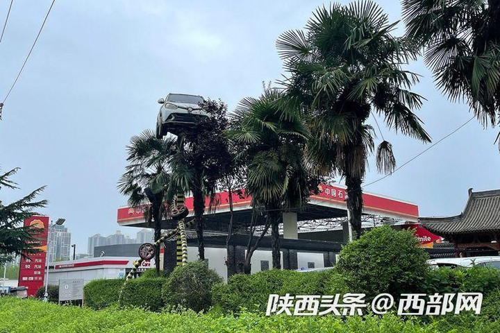 Kỳ lạ với cảnh ô tô ‘bay’ lên ngọn cây treo lơ lửng và nguyên nhân phía sau - 3