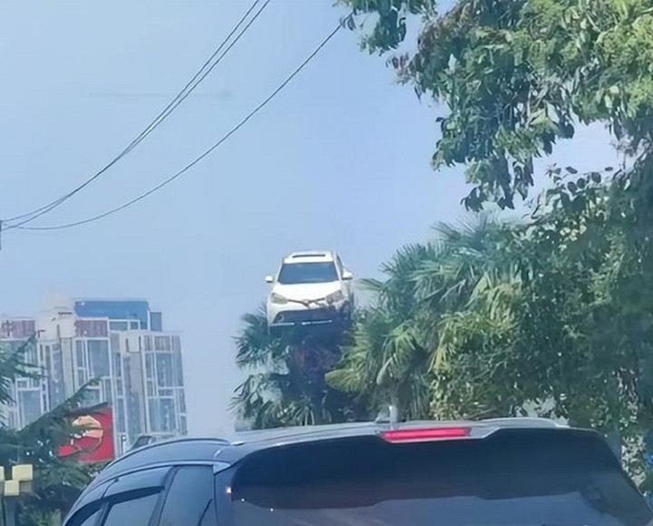 Kỳ lạ với cảnh ô tô ‘bay’ lên ngọn cây treo lơ lửng và nguyên nhân phía sau - 1