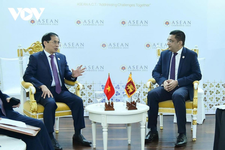 Bộ trưởng Bùi Thanh Sơn kêu gọi xây dựng Biển Đông thành vùng biển hòa bình - 3