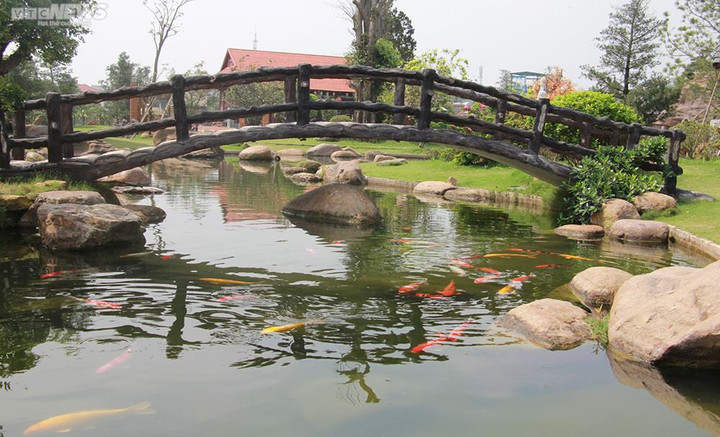 Thiếu trách nhiệm trong quản lý đất đai, Chủ tịch xã bị điều chuyển công tác - 4