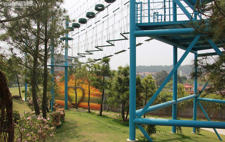 Thiếu trách nhiệm trong quản lý đất đai, Chủ tịch xã bị điều chuyển công tác - 3