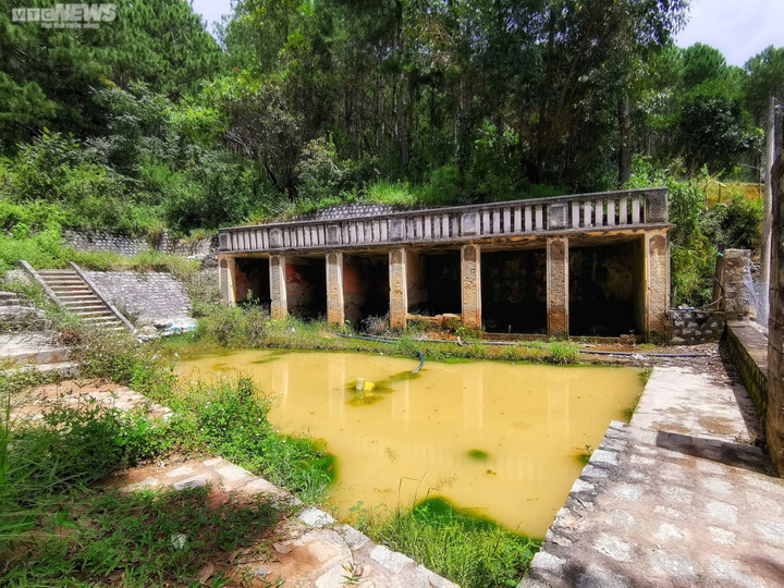 Ảnh: Ao vua Bảo Đại, tàn tích bí ẩn giữa rừng thông Đà Lạt - 1