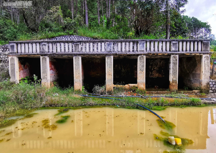 Ảnh: Ao vua Bảo Đại, tàn tích bí ẩn giữa rừng thông Đà Lạt - 2