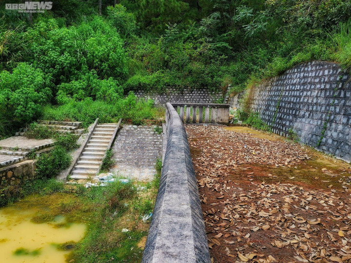 Ảnh: Ao vua Bảo Đại, tàn tích bí ẩn giữa rừng thông Đà Lạt - 5