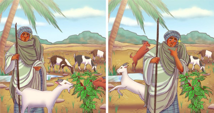 Những sự thật về cà phê có thể bạn chưa biết - 3