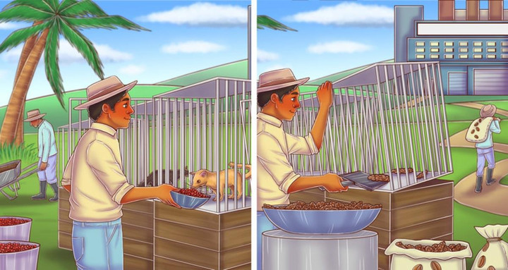 Những sự thật về cà phê có thể bạn chưa biết - 7