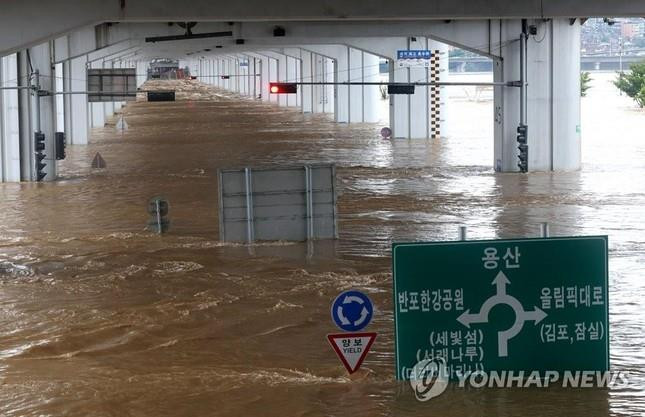 Hàn Quốc: Mưa lớn kỷ lục ở Seoul khiến 7 người thiệt mạng - 10