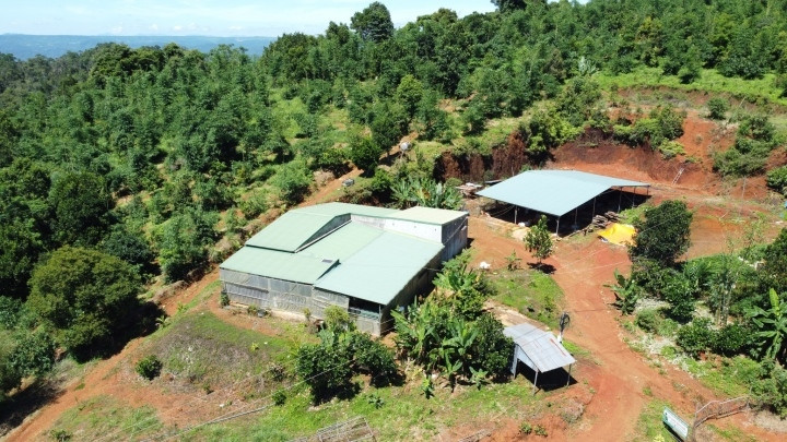 Cấp sai 65 sổ đỏ ở Đắk Nông: Chuyển hồ sơ sang cơ quan công an - 1