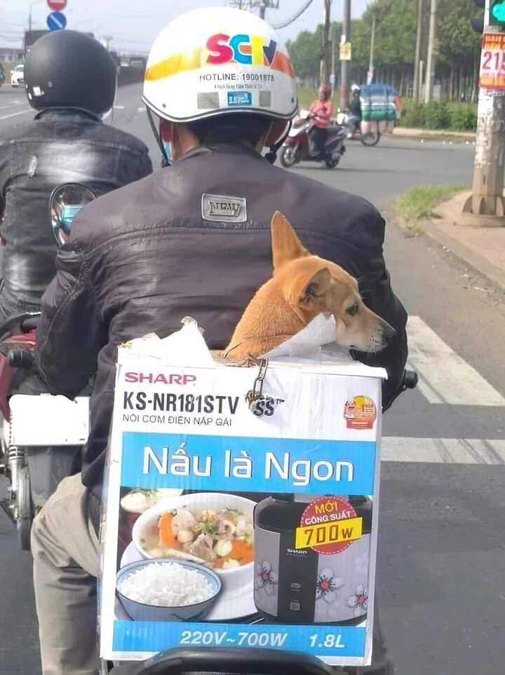 Những hình ảnh gây cười không ngớt tạo ra bởi hội thích 'văn vở' - 6