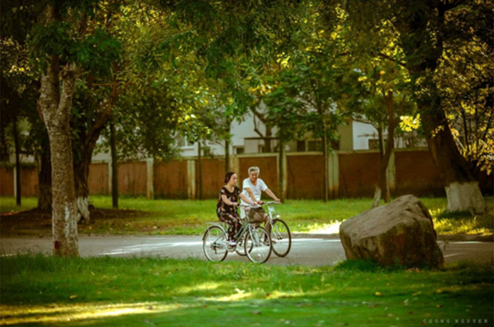 Mỗi người già Việt mắc ít nhất 3 bệnh, đặc biệt là bệnh mạn tính - 2