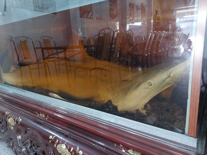 Toát mồ hôi với những 'bình' rượu ngâm gây 'ngất ngây' dù chưa uống một ngụm - 4