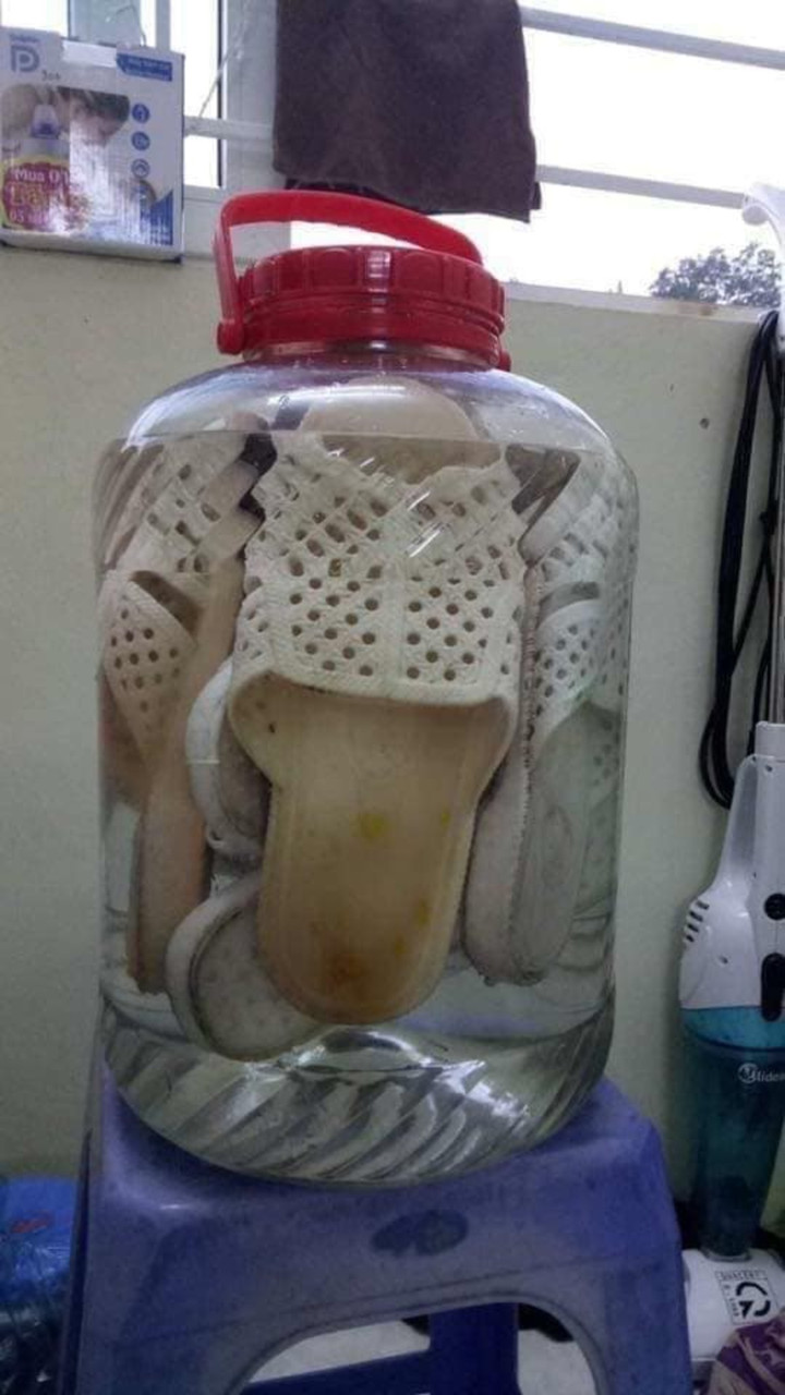 Toát mồ hôi với những 'bình' rượu ngâm gây 'ngất ngây' dù chưa uống một ngụm - 7