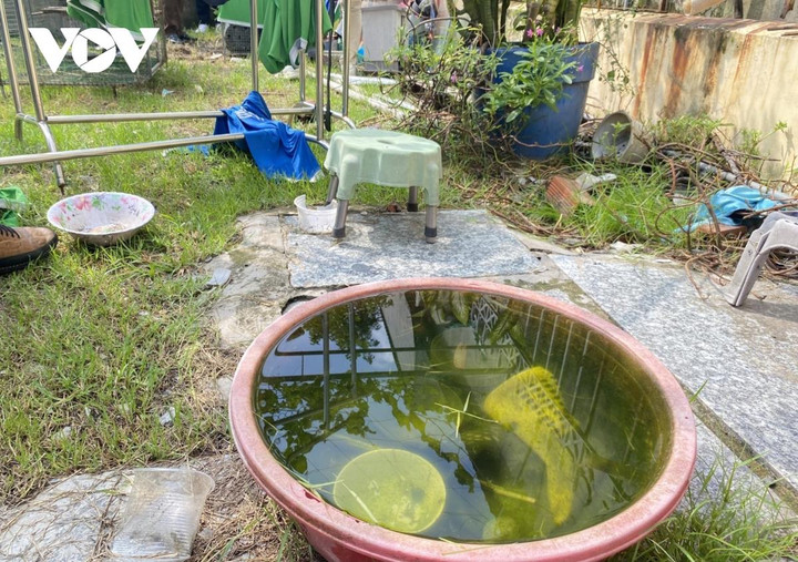 Từ đầu năm tới nay, TP.HCM ghi nhận 17 ca tử vong do sốt xuất huyết - 1