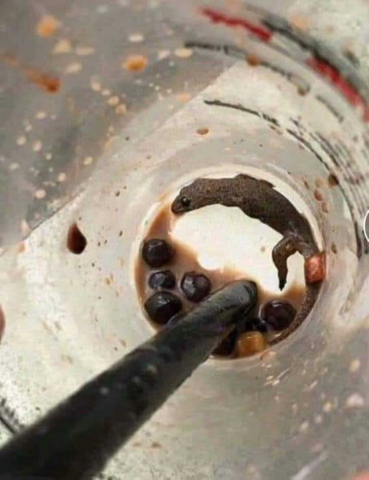 Những phát hiện 'hãi hùng' trong đồ ăn khiến thực khách chỉ muốn 'nghỉ ăn' - 7