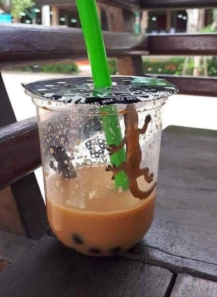 Những phát hiện 'hãi hùng' trong đồ ăn khiến thực khách chỉ muốn 'nghỉ ăn' - 6