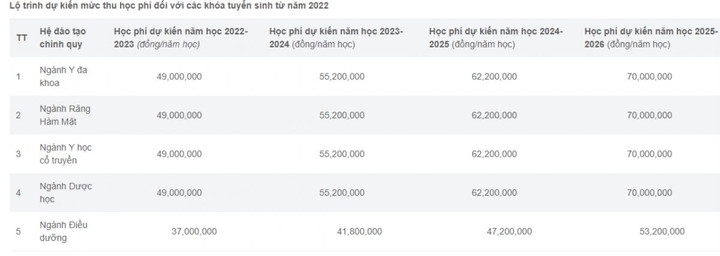 Học phí ngành y, dược tăng mạnh, có lo bỏ lọt thí sinh 'giỏi nhưng không giàu'? - 2