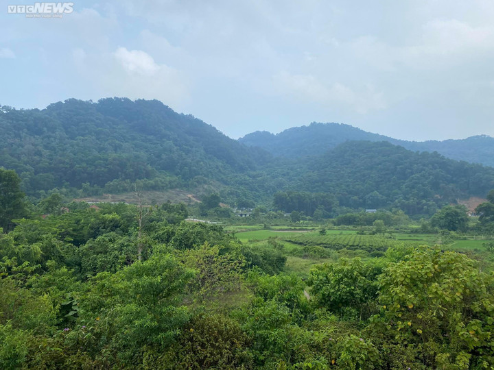 'Thương vụ' nực cười nhất thời sốt đất: Bãi cỏ sâu trong ngõ cũng có giá 2,5 tỷ - 1