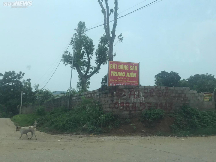 Cái kết thảm khi chạy theo ‘giấc mơ tỷ phú’ nhờ bán đất - 2