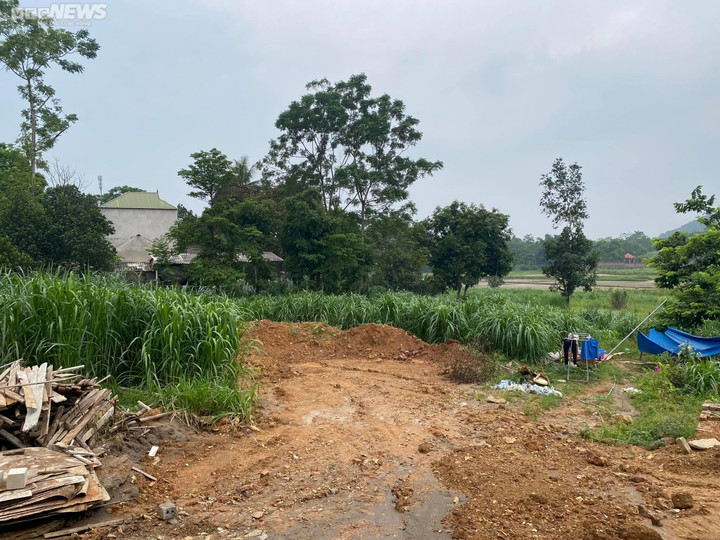 'Thương vụ' nực cười nhất thời sốt đất: Bãi cỏ sâu trong ngõ cũng có giá 2,5 tỷ - 3