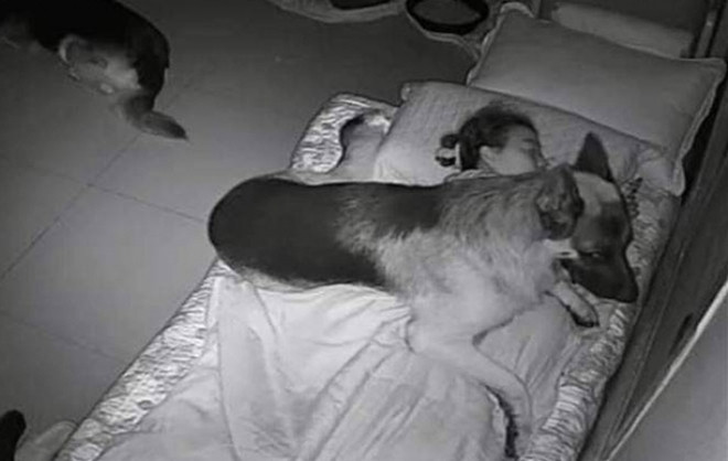 Tháng cô hồn liên tục gặp ác mộng, lắp camera theo dõi phát hiện sự thật bẽ bàng - 2