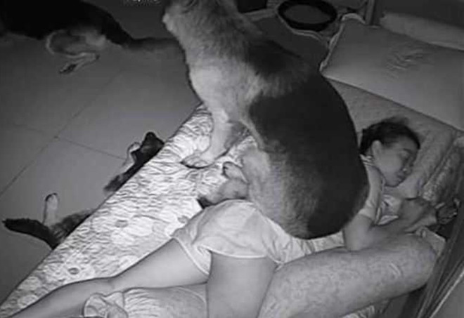 Tháng cô hồn liên tục gặp ác mộng, lắp camera theo dõi phát hiện sự thật bẽ bàng - 1