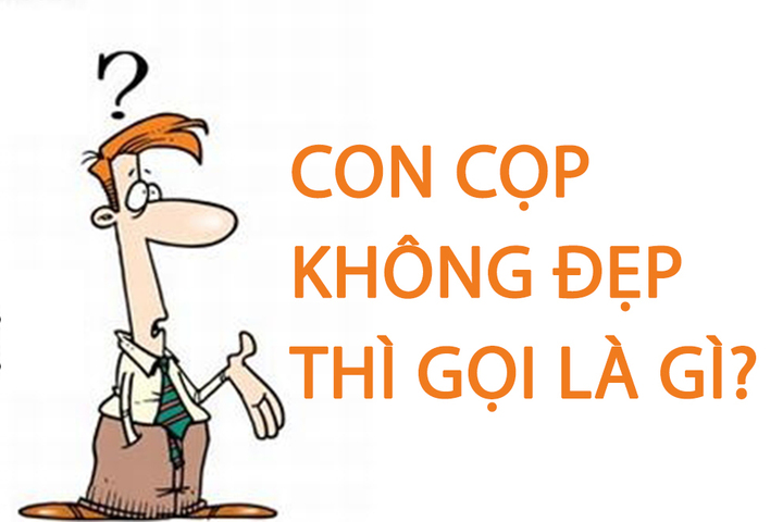 Con cọp không đẹp thì gọi là gì? - 1