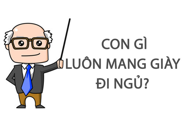 Con gì luôn mang giày đi ngủ? - 1