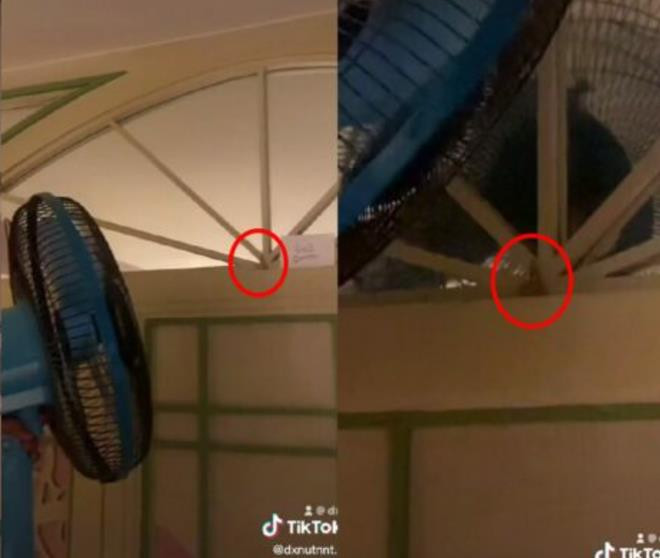 Lo con gái ở một mình sẽ sợ, bố đem đến phòng trọ món đồ khiến ai nấy ngã ngửa - 5